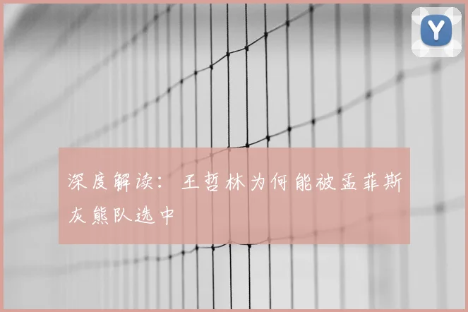 深度解读：王哲林为何能被孟菲斯灰熊队选中